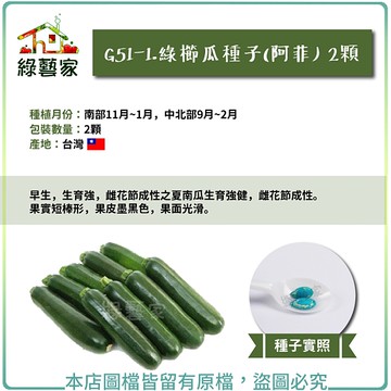 【綠藝家】G51-1.綠櫛瓜種子(阿菲)2顆