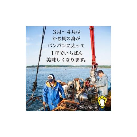 ふるさと納税 石川県 七尾市 水上水産　能登のかき　半缶ガンガン焼き（約35〜40個・ナイフ付）