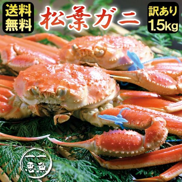 松葉ガニ 約1.5kg（2〜3杯）訳あり 津居山・柴山・浜坂産 産地直送 送料無料