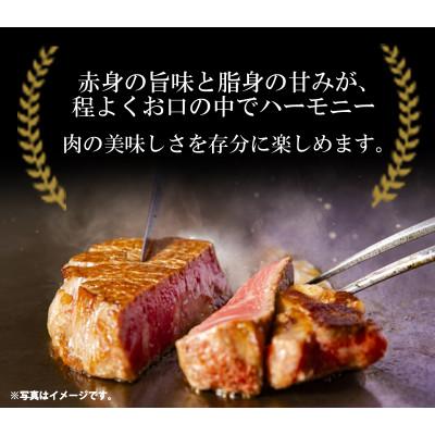 ふるさと納税 島原市 長崎和牛 A5ランク ロースステーキ 450g(225g×2枚)