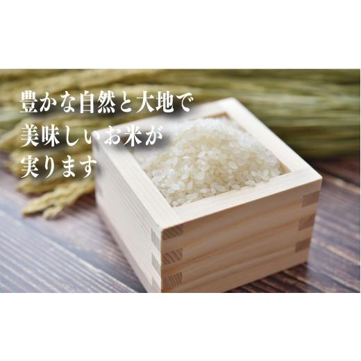 ふるさと納税 奈良県 御杖村 N05 新米 奈良県産 ひのひかり 精米 5kg × 3回 合計 15kg (3回お届け)