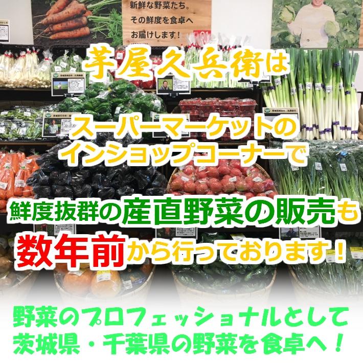 野菜セット 10品目以上 直送野菜 新鮮 採れたて 茨城県・千葉県産 農家さん 夏季クール便対応