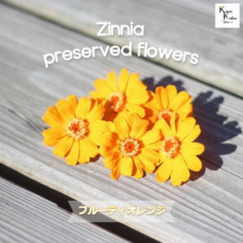 大地農園 ドライフラワー ジニア フルーティオレンジ 5輪 プリザ アレンジ 資材 花材 ハーバリウム おしゃれ かわいい プ 通販 Lineポイント最大1 0 Get Lineショッピング