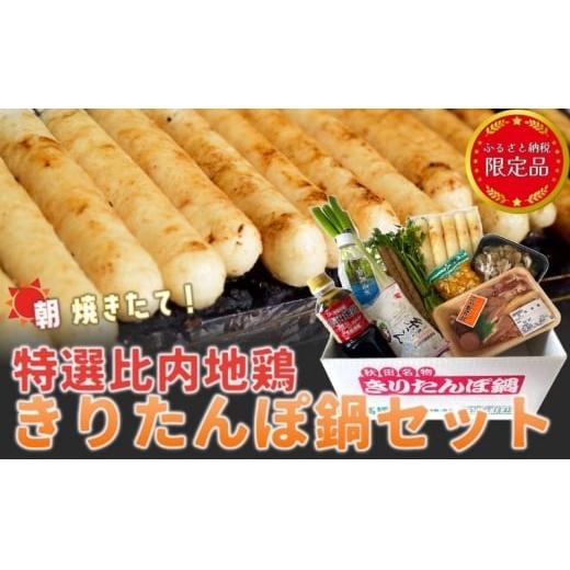 ふるさと納税 秋田県 能代市 令和5年産米使用 特選比内地鶏 きりたんぽ鍋セット（3〜4人前） ※必ず配送日をご指定ください※