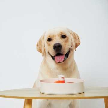 【貓狗用品】PetDreamHouse 旋轉益智慢食碗 九重葛