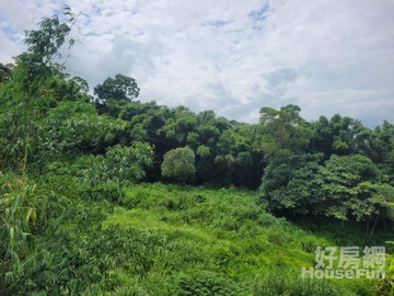 @芎林休閒景觀農地｜新竹縣芎林鄉下山