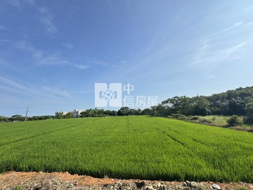 鑫聖-桃園新屋12米路雙面路美農田｜桃園市新屋區社子段