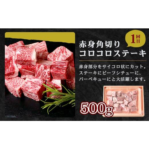 ふるさと納税 佐賀県 鹿島市 佐賀牛 食べ比べ お試し定期便 サイコロステーキ サーロインステーキ ローストビーフ F-57