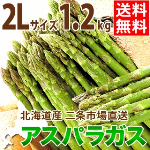 2024年 予約受付中 送料無料 北海道産 アスパラ 1.2kg(2Lサイズ限定)   ２Ｌサイズ 大きいサイズ アスパラ あすぱら アスパラガス グリー