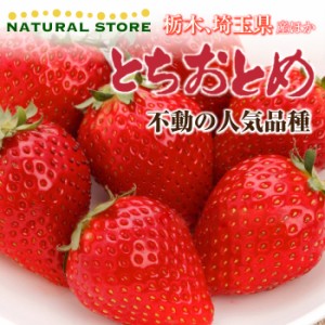 [予約 2024年1月5日-1月30日の納品] いちご とちおとめ 2パック 2Ｌ 3Ｌサイズ 約300g×2パック 埼玉県産 栃木県産 苺 御歳暮 お歳暮 ギ