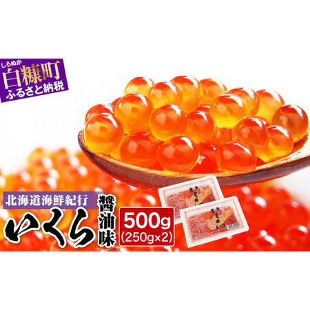 ふるさと納税 極上の大粒いくら 500g 250g × シラリカいくら（醤油味） 鮮度維持にこだわった極上品 いくら 醤油漬け 鮭卵 鮭いくら .. 北海道白糠町