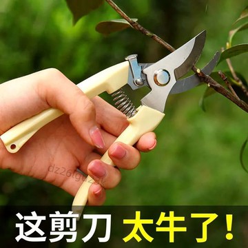 【臺灣爆款】花園花藝剪刀花剪插花專用工具修剪花枝園藝剪刀家用寬頭鮮花剪刀【實用】