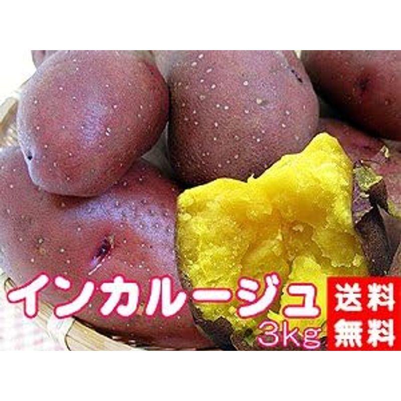 インカルージュ 3kg (サイズ無選別) 北海道産地直送じゃがいも インカの瞳 (インカのめざめの新しい品種)ジャガ芋