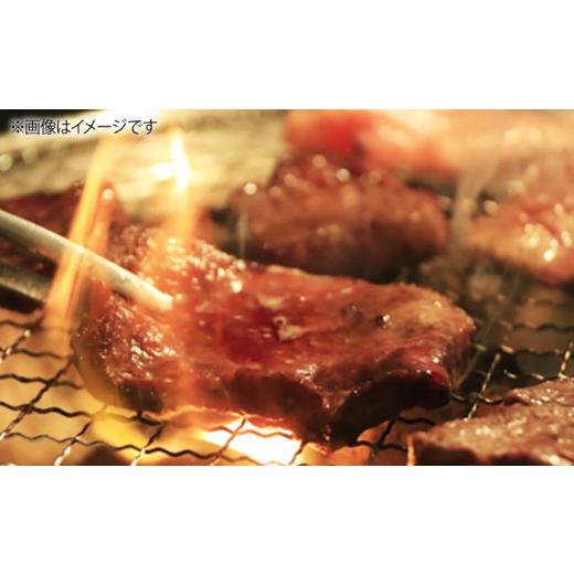 ふるさと納税 長崎県 壱岐市 お肉 壱岐牛 焼き肉セット 500g 《 壱岐市 》 [JCG056] 黒毛和牛 和牛 壱岐牛 モモ 焼き肉 焼肉 …