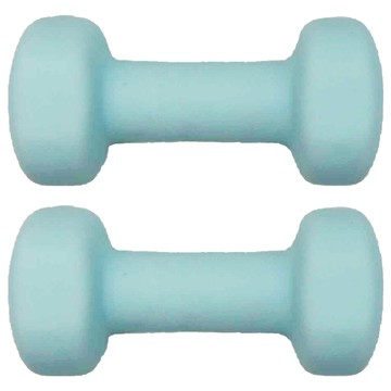 MICHAEL FITNESS 麥克健身 鑄鐵啞鈴 藍色  3kg  3kg  2個
