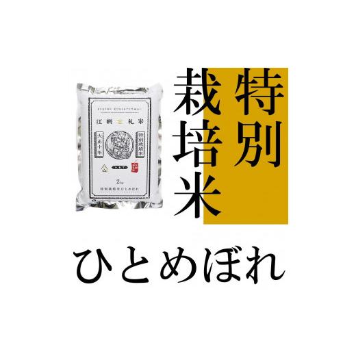 ふるさと納税 岩手県 奥州市 江刺金札米ひとめぼれパック米 2kg×5袋 令和5年産 新米 特別栽培米