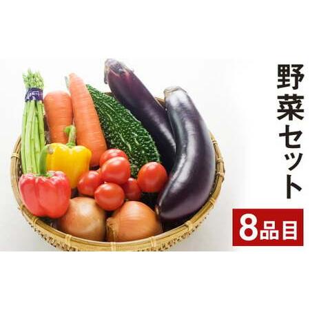 ふるさと納税 野菜 セット 8品 旬の野菜 やさい 詰合せ 詰め合わせ 熊本県菊池市