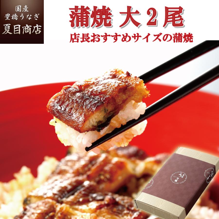 うなぎ 鰻 国産 プレゼント ギフト 蒲焼き 155-167g×2尾  大盛2人前 化粧箱 送料無料 お歳暮 贈り物 誕生日 内祝い