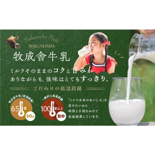 ふるさと納税 岐阜県 飛騨市 ＜牧成舎＞牛乳・ヨーグルト・チーズ　飛騨産生乳で作るこだわりのセット