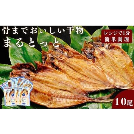 ふるさと納税 骨までおいしい干物「まるとっと」お手軽1尾セット 愛媛県東温市