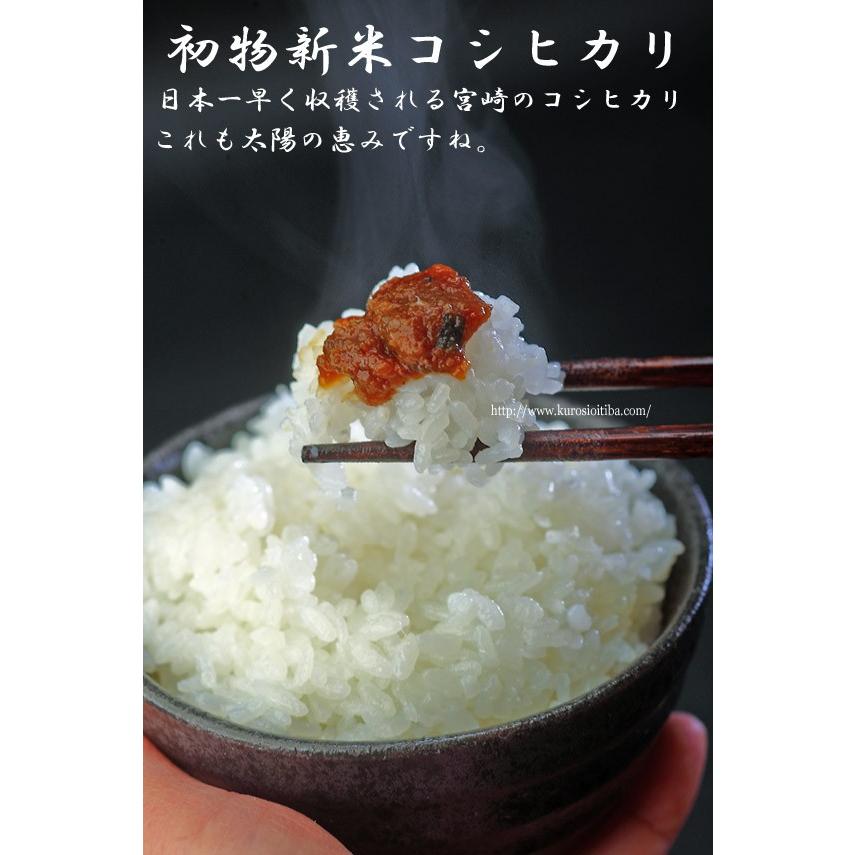 新米 宮崎産 コシヒカリ 九州米 令和5年産 白米5kg×2袋  送料無料（但し北海道、沖縄県他一部離島は別途）