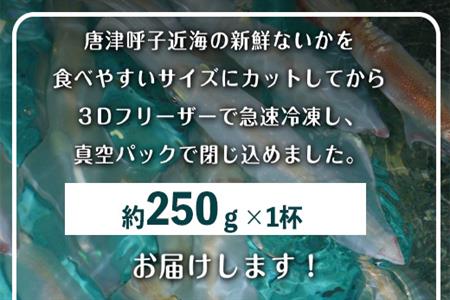 唐津呼子産いか活造り 1杯(約250g前後) 急速冷凍 新鮮そのまま食卓へ！イカ 刺身 簡単 ギフト