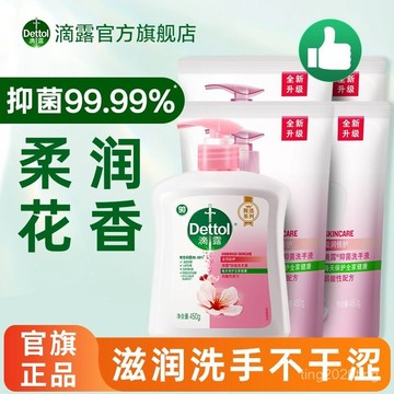 臺灣出貨🚚滴露抑菌洗手液450g*2補充裝袋裝兒童可用正品 抗菌潔手液 抗菌洗手乳 洗手慕斯 洗手液 手部清潔 清新柑橘
