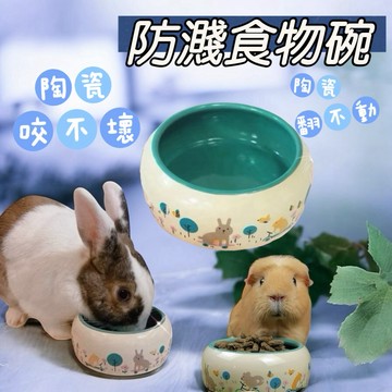 哈密兔事·防翻寵物陶瓷食盆｜大推薦 食物碗陶瓷碗 兔子飼料碗 兔子飼料碗 龍貓飼料碗 天竺鼠飼料碗 兔子碗兔用品