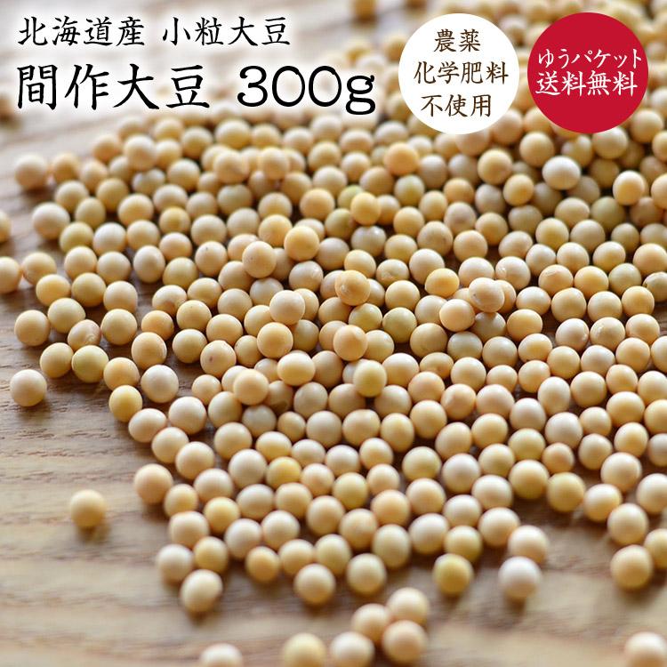 北海道産 間作大豆 小粒大豆 300g 令和4年産 農薬化学肥料不使用 納豆作りに 豆ごはん 豆腐 国産