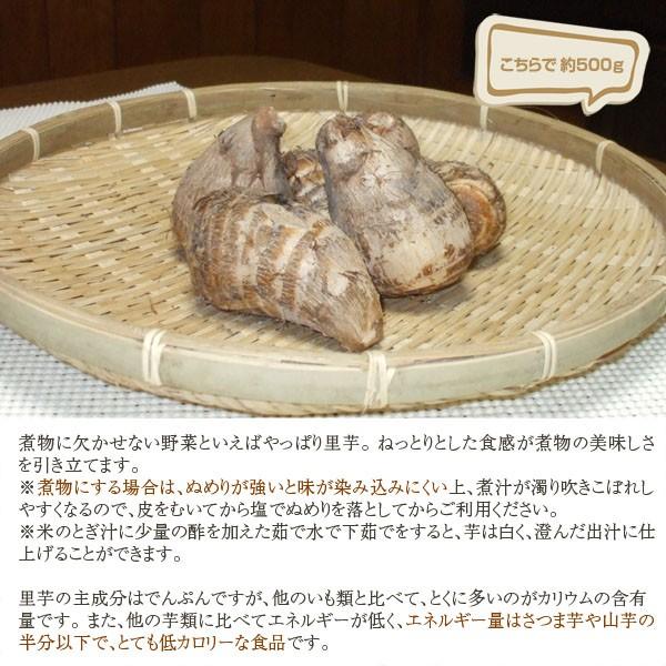 産地直送！和歌山産 里芋（さと芋） 500g