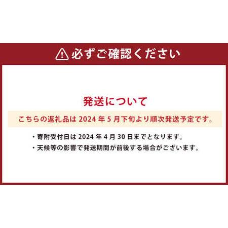 ふるさと納税  熊本県産 マンゴー 4玉 計約2kg フルーツ 果物 くだもの 熊本県産 熊本県