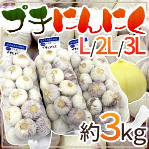 ”プチにんにく” L 2L 3L 約3kg 送料無料