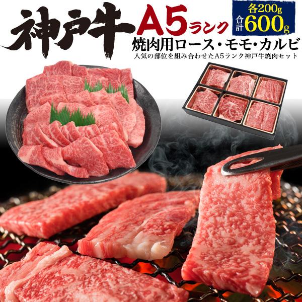 A5ランク 神戸牛 ロース モモ カルビ 焼き肉セット 合計600g  国産 神戸牛肉 黒毛和牛 スライス 盛り合わせ 熨斗対応可能 贈答用 グルメギフト 冷凍配送