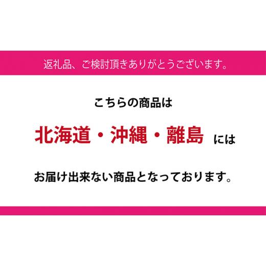 ふるさと納税 岡山県 瀬戸内市 ぶどう 2024年 先行予約 9月・10月発送 シャイン マスカット 晴王 2房（合計約1.1kg） ブドウ 葡萄  岡山県産 国産 フルーツ 果…