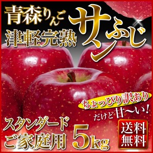 順次発送 りんご 5kg 送料無料 青森産 津軽 完熟 サンふじ ご家庭用 フルーツ 果物 Y常