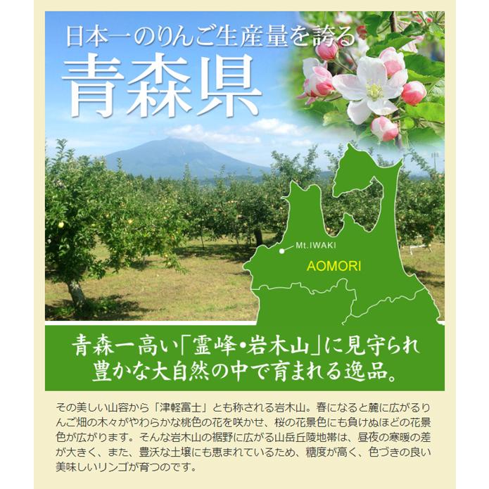 りんご 20kg サンふじ 青森産 木箱 ご家庭用 送料無料 食品