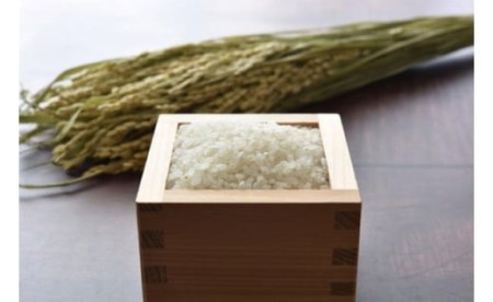 令和５年北海道産ゆめぴりか１０ｋｇ（５ｋｇ×２袋）