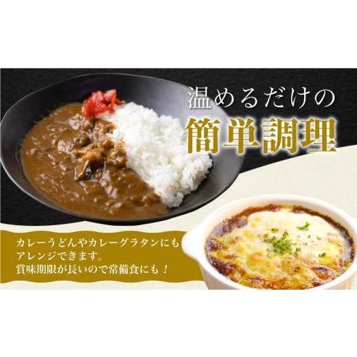 ふるさと納税 岐阜県 高山市 飛騨牛カレー (3袋) 飛騨牛トマトカレー (2袋)  計5食   簡易包装 ビーフカレー 飛騨牛 トマト カレー レトルトカレー…