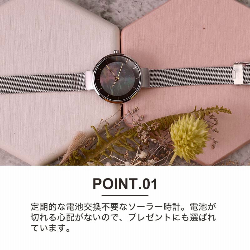 ベーリング 腕時計 スカンジナヴィアンソーラー BERING ベーリング 腕時計 スカンジナヴィアンソーラー BERING