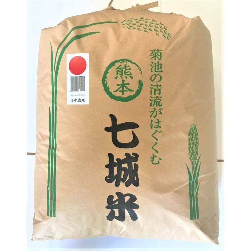 検査証明書付玄米 20kg 熊本県 プレミア 七城産 ヒノヒカリ 10年連続 特A 受賞 生産者名付 残留農薬ゼロ 産地直送 雑穀プレゼント