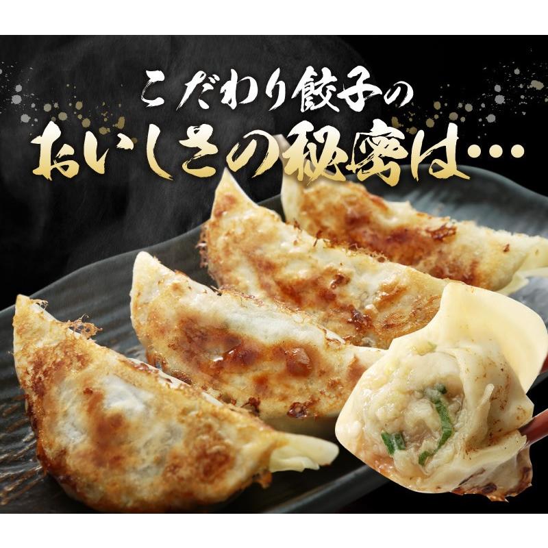 餃子 取り寄せ 送料無料 業務用 冷凍 生餃子 国産素材 時短 お手軽 簡単 大容量 餃子計画 こだわり餃子 業務用 50個入