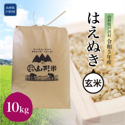 ふるさと納税 戸沢村 令和5年産 はえぬき10kg　山形県 戸沢村 産