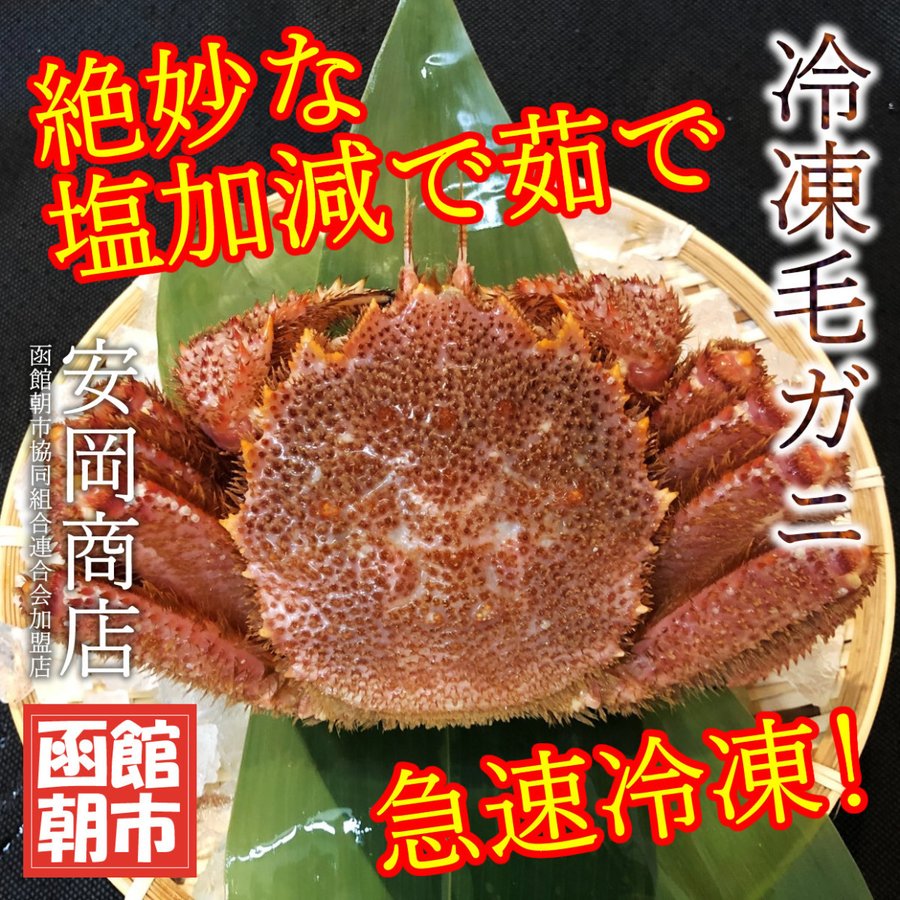 北海道産 浜茹で 冷凍毛ガニ 500g（1尾）