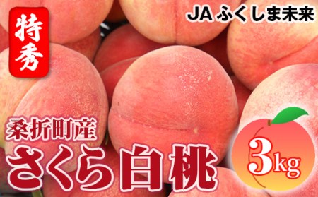 No.171 もも（さくら白桃）特秀　3kg　桑折町産　JAふくしま未来　桃