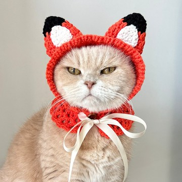 Korean Designer Brand 红狐狸宠物帽披风 猫狗服饰