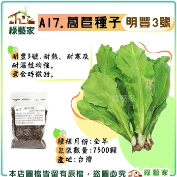 【綠藝家】A17.萵苣種子7500顆 (有藥劑處理) (明豐3號.耐熱、耐寒及耐濕性均強。煮食時微甜) 葉菜類種子 萵苣