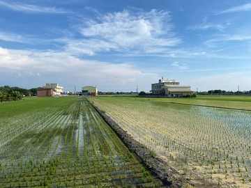 埤頭交流道田-農舍建照已核准可配合建築｜彰化縣埤頭鄉新庄段