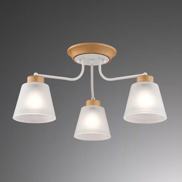 E27 時尚半吸頂三燈  B209-030137