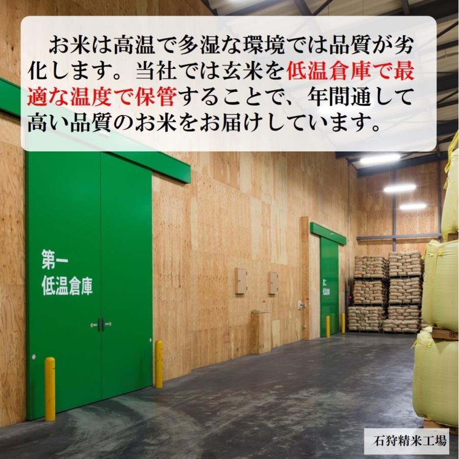 新米 玄米 米 ゆめぴりか 富良野産 北海道産 20kg 令和5年産 農薬節減