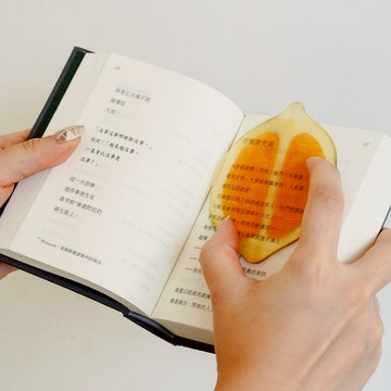 UDlab｜創意水果切片書籤 蘋果切片書籤 帶仿真設計感 ins固定書攝影卡通可愛便簽書籤 共五款CB-H07010